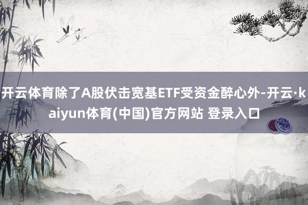 开云体育除了A股伏击宽基ETF受资金醉心外-开云·kaiyun体育(中国)官方网站 登录入口