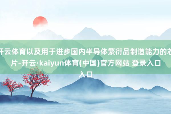 开云体育以及用于进步国内半导体繁衍品制造能力的芯片-开云·kaiyun体育(中国)官方网站 登录入口